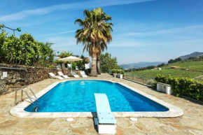 Quinta da Padrela Vineyard House